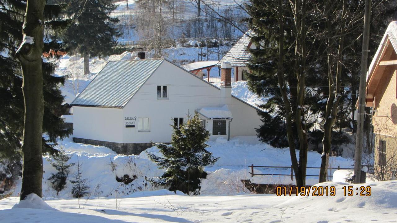 Desny Kout Villa Kouty nad Desnou Dış mekan fotoğraf