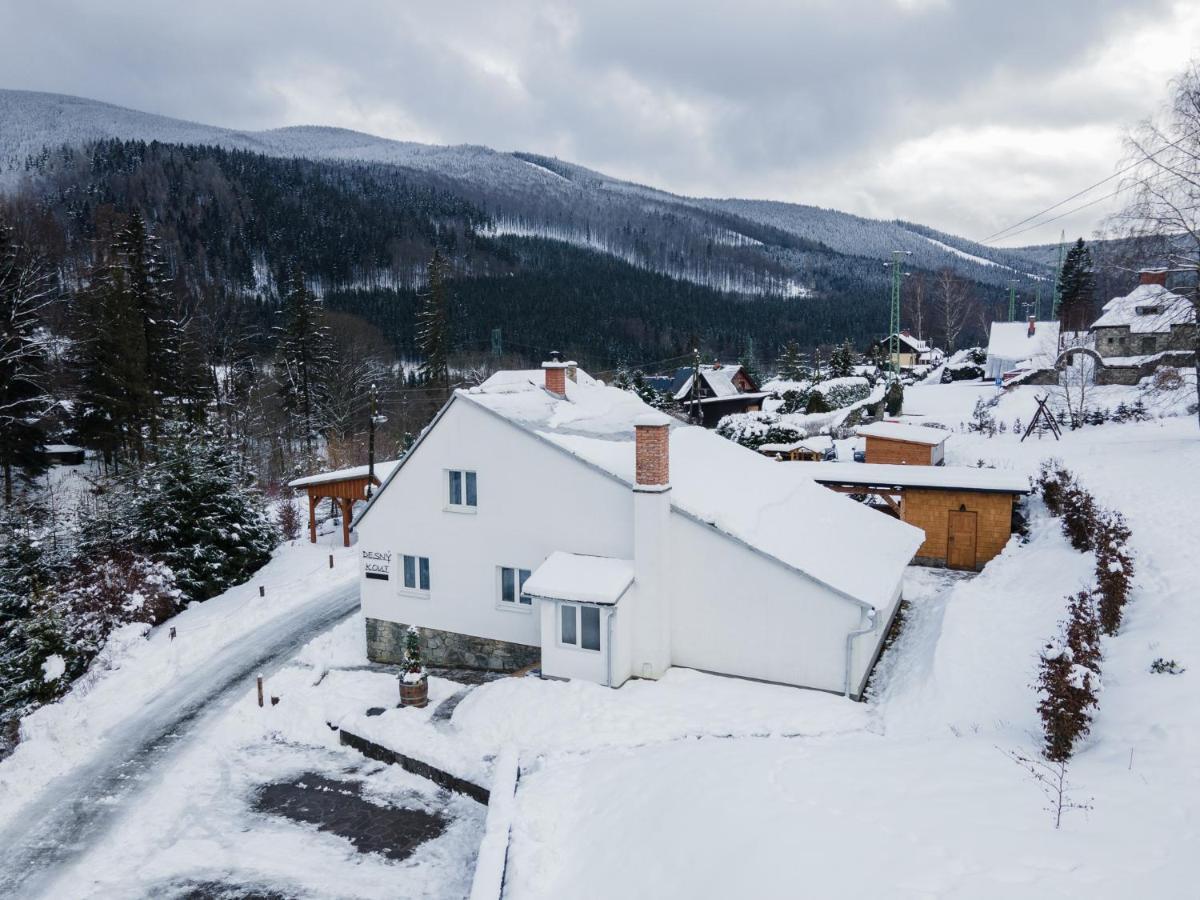 Desny Kout Villa Kouty nad Desnou Dış mekan fotoğraf